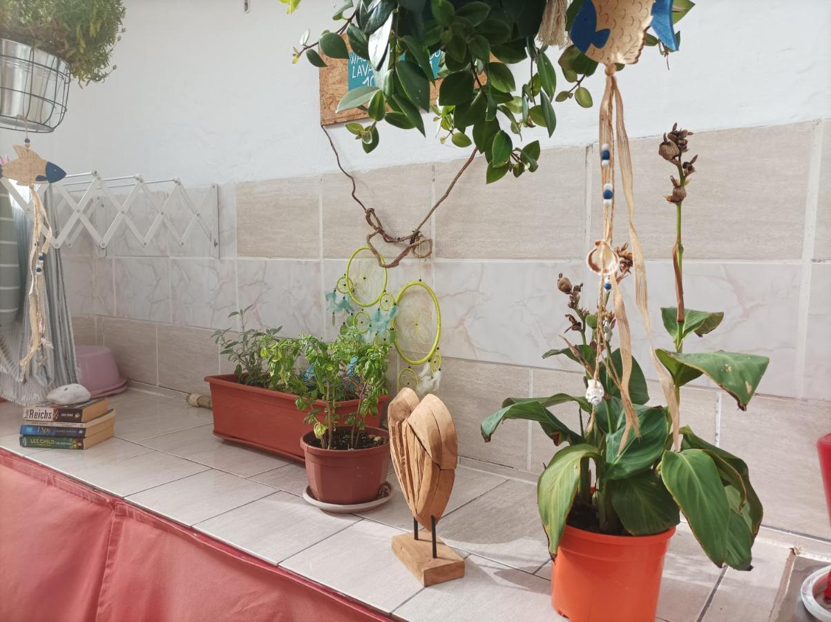 Apartamento Desert Of Love Fuerteventura Costa Calma Exterior foto